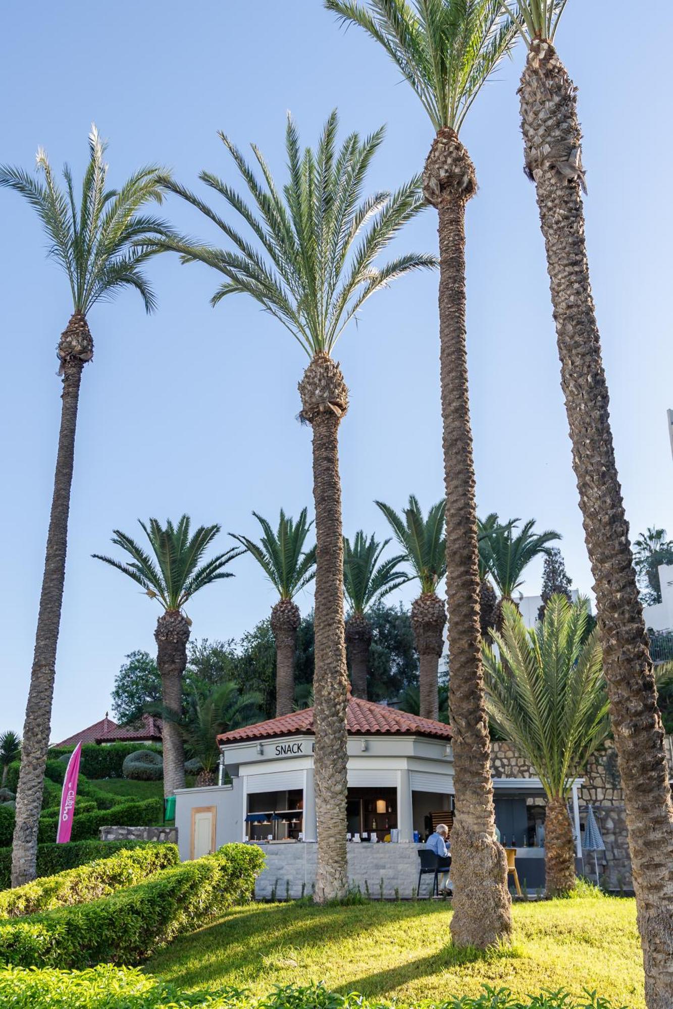 Tui Suneo Kenzi Europa Agadir Exterior foto